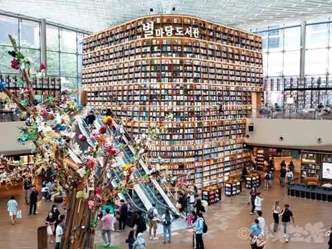 ソウル　江南　図書館　ピョルマダン　COEX 　コエックス