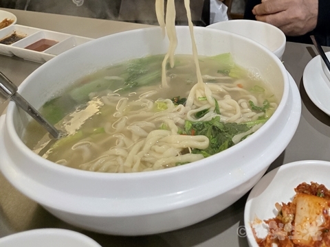 市庁　ジョジョカルグクス　うどん　海鮮チヂミ