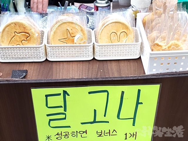 明洞　タルゴナ　イカゲーム　おじいさん