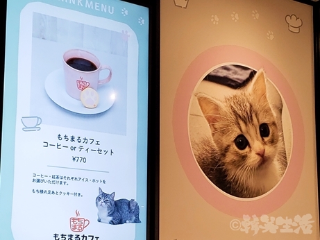 もちまる日記　もちまるカフェ　渋谷パルコ　もち様