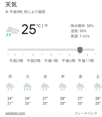 韓国　ソウル　天気予報　豪雨