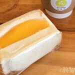 森果治 fruitos　フルートス　マンゴーサンド