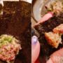 コスパ最高！ 美味しい海鮮料理を堪能できる小料理屋さん＠明治神宮前